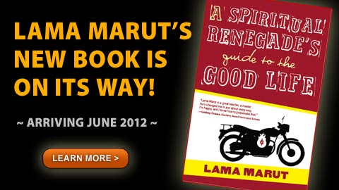 LM-BookPromoSlider3