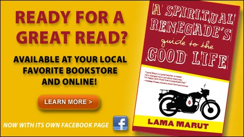 LM-NewBookArrived