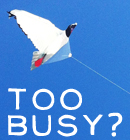 The Cult of Busyness